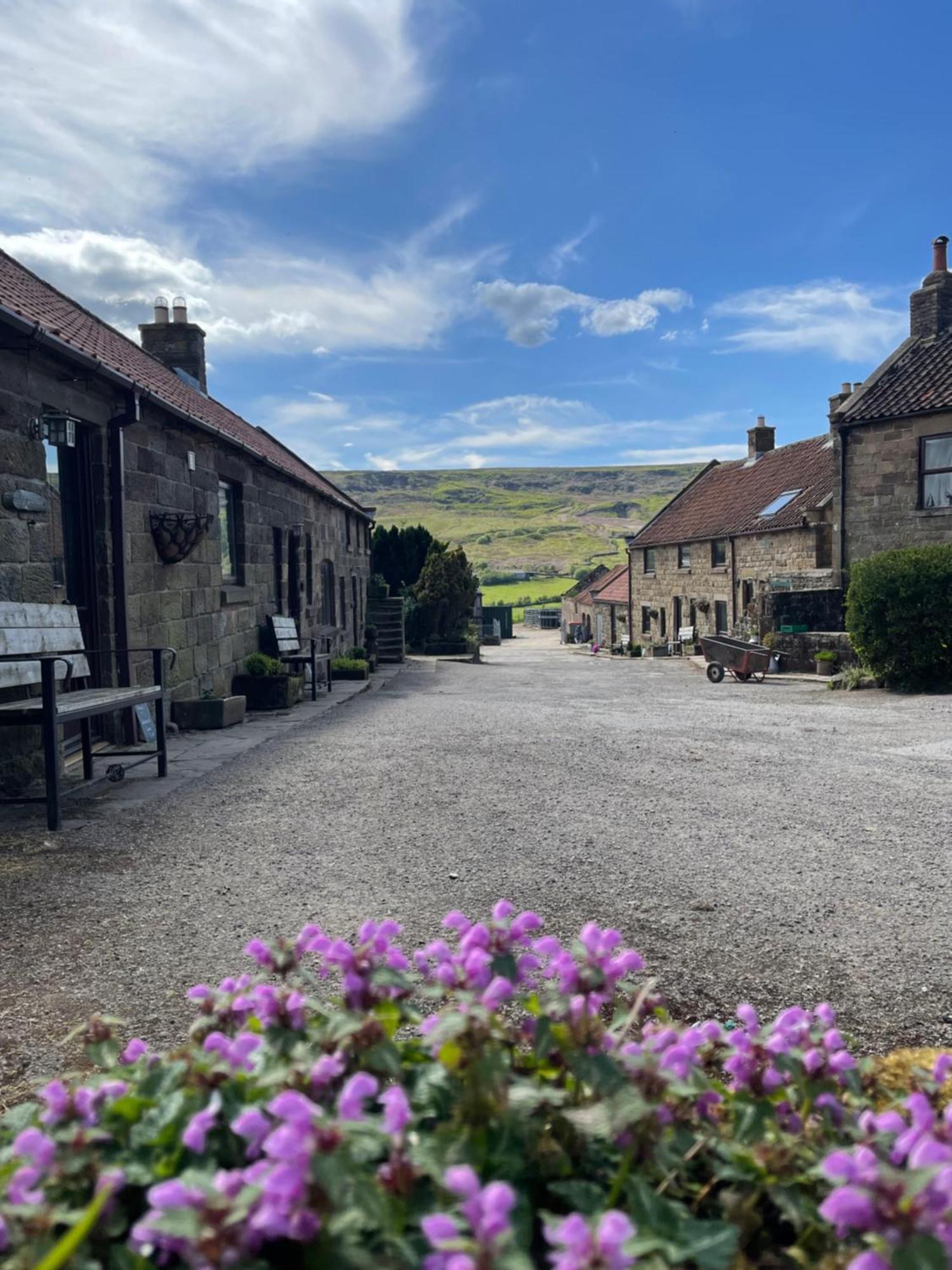 Craven Garth Cottages Rosedale Abbey Exterior photo